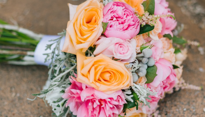 万能开挂辅助“朱雀吴江三缺一到底是不是有挂”(透视)其实确实有挂