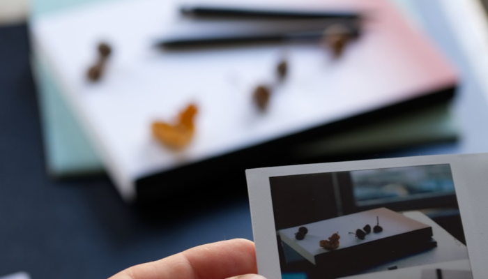 万能开挂辅助“心动联盟是不是有挂”(透视)其实确实有挂