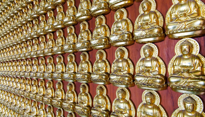 万能开挂辅助“wepoker辅助作弊教程”2026开挂教程步骤