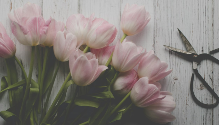 万能开挂辅助“花花生活圈外卦神器”其实确实有挂