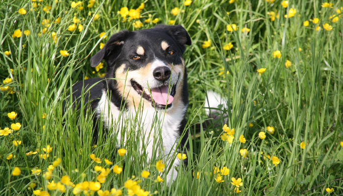 万能开挂辅助“丽水都莱可以调胜率吗”开挂(透视)辅助教程